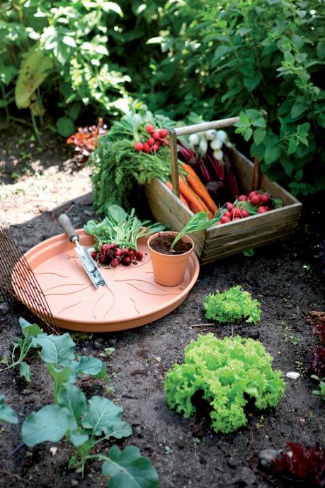 green basics schotel 34cm mild terra